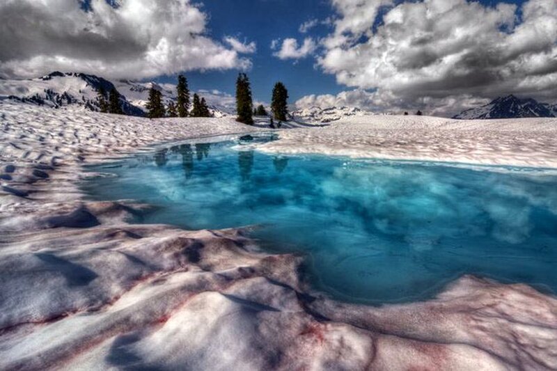 Snowy Mountain Pond