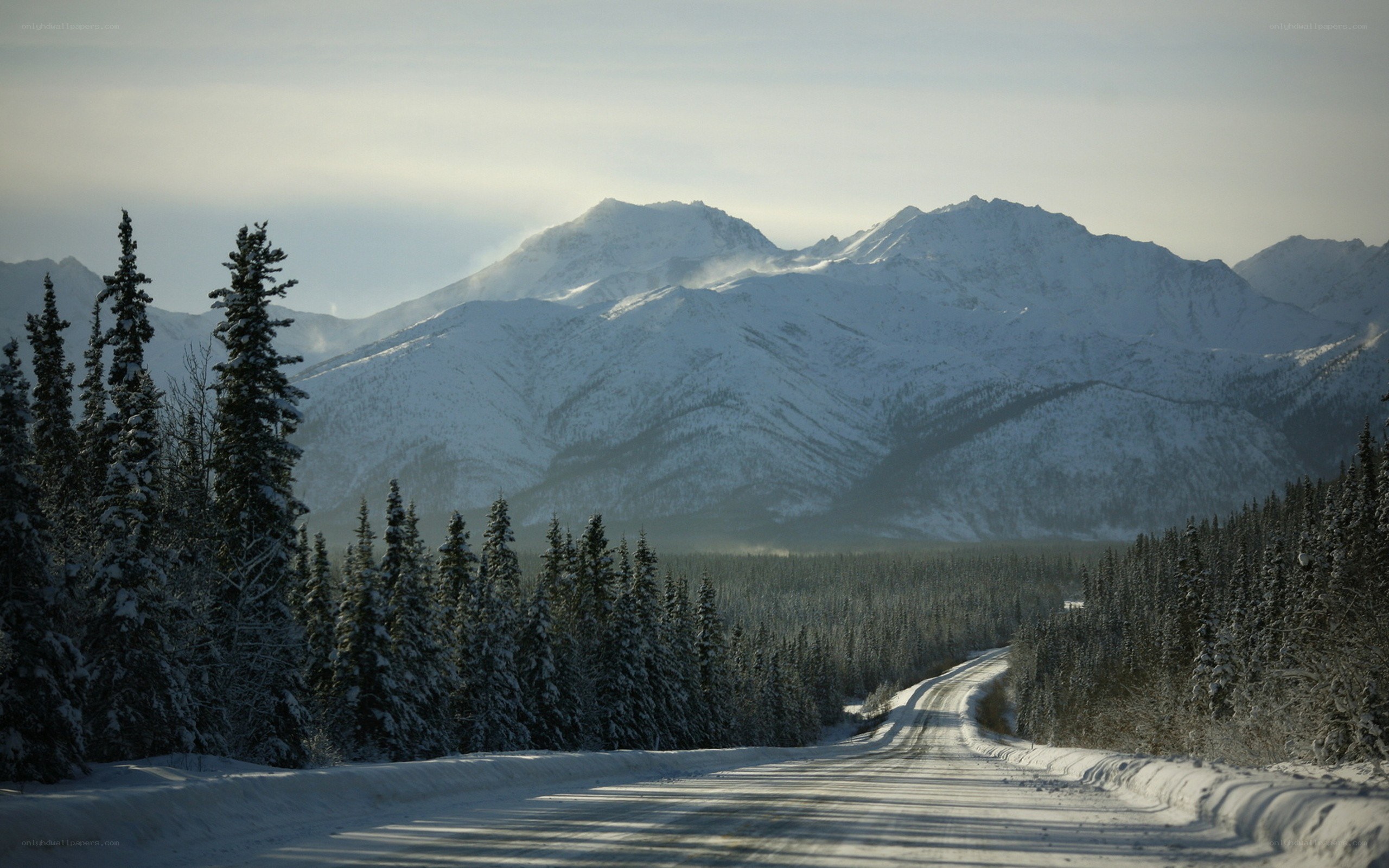 Snowy mountain road in winter