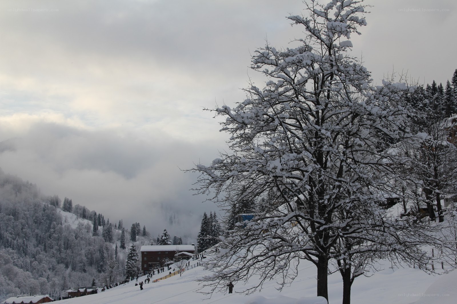 Snowy mountain ski resort