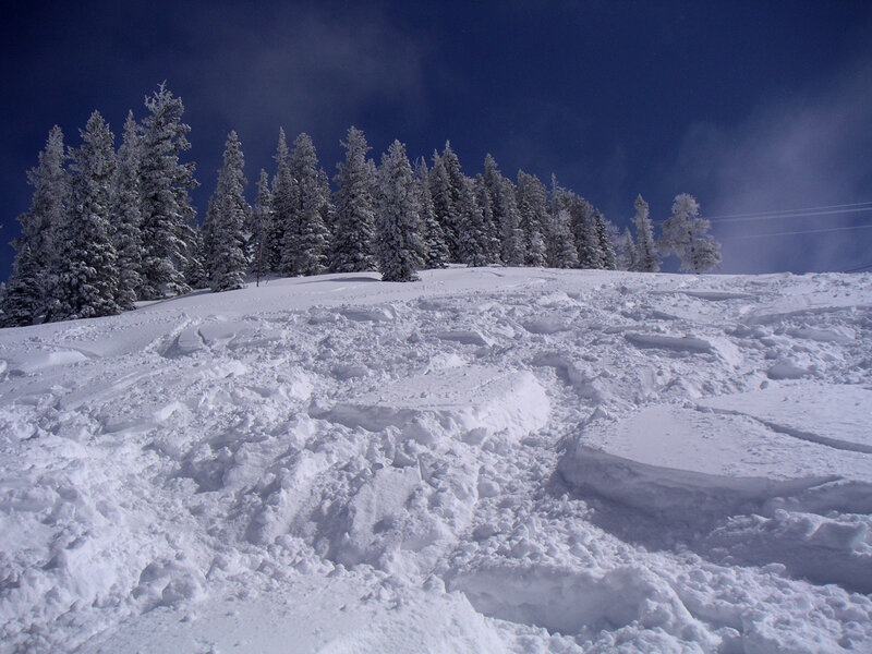 Snowy mountain slope with trees