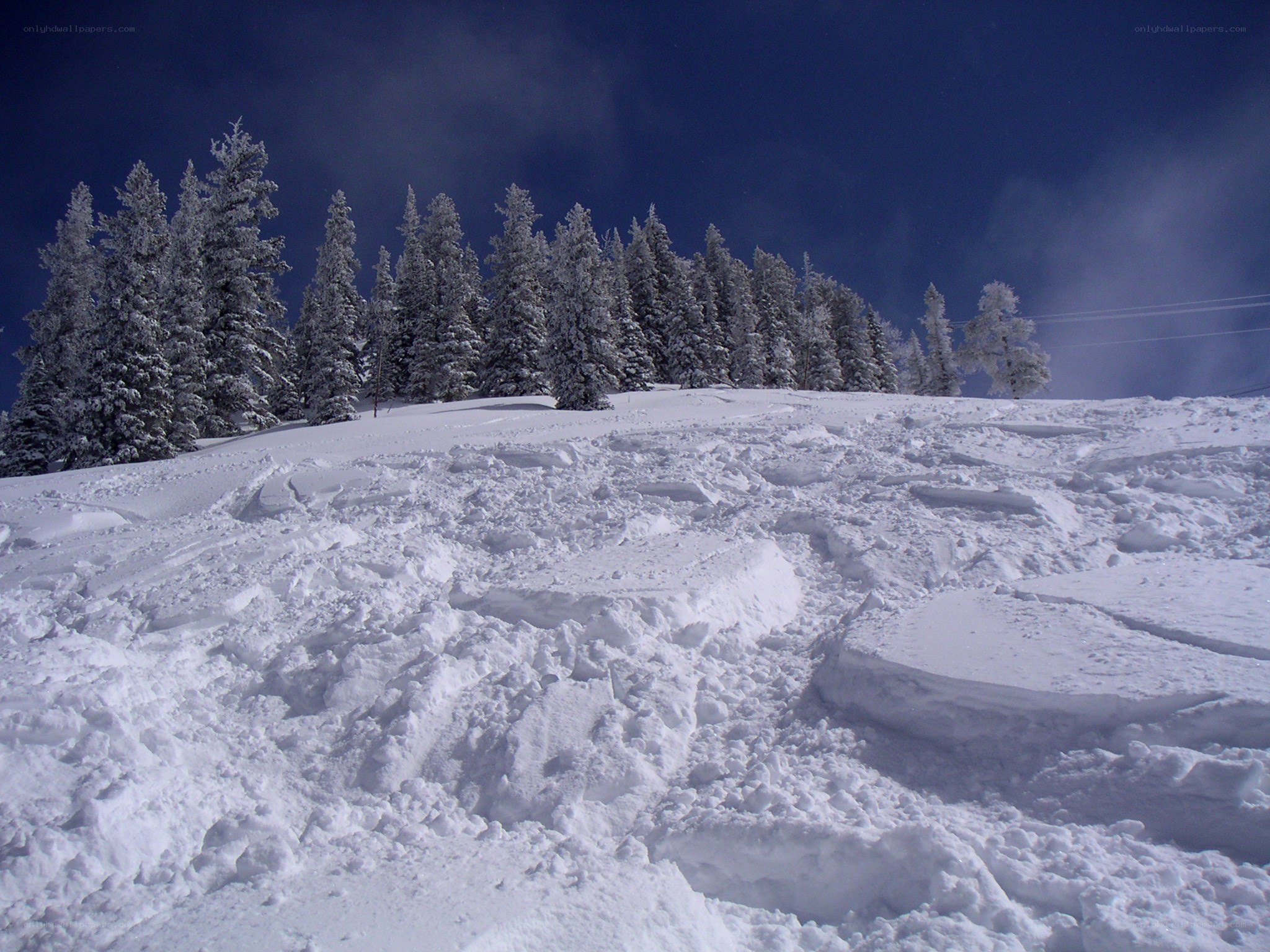 Snowy mountain slope with trees