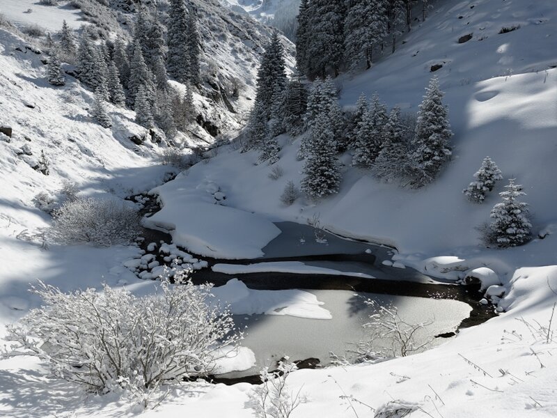 Snowy mountain stream
