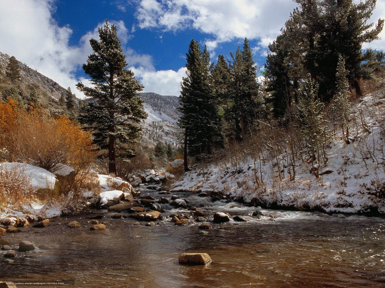 Snowy mountain stream