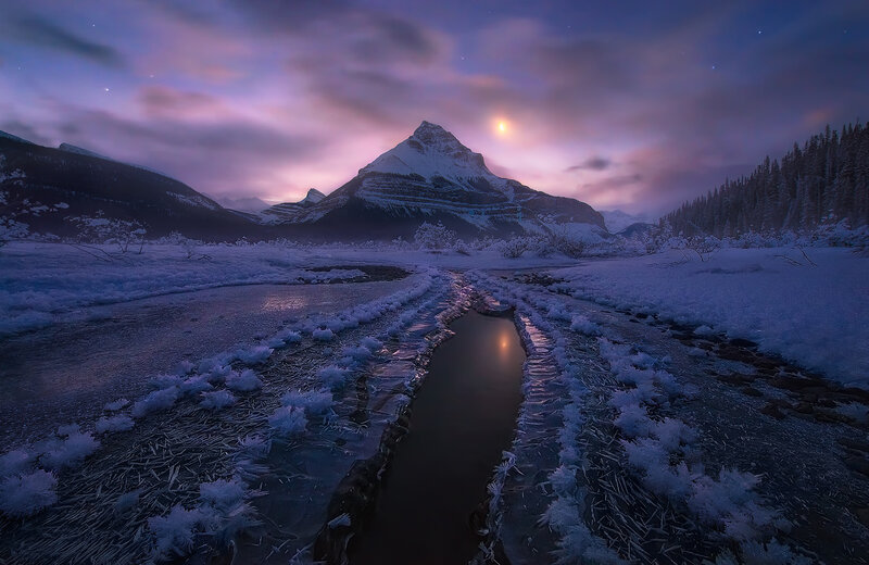 Snowy Mountain Stream — Purple