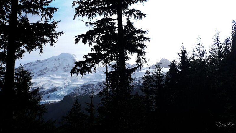 Snowy mountain through trees