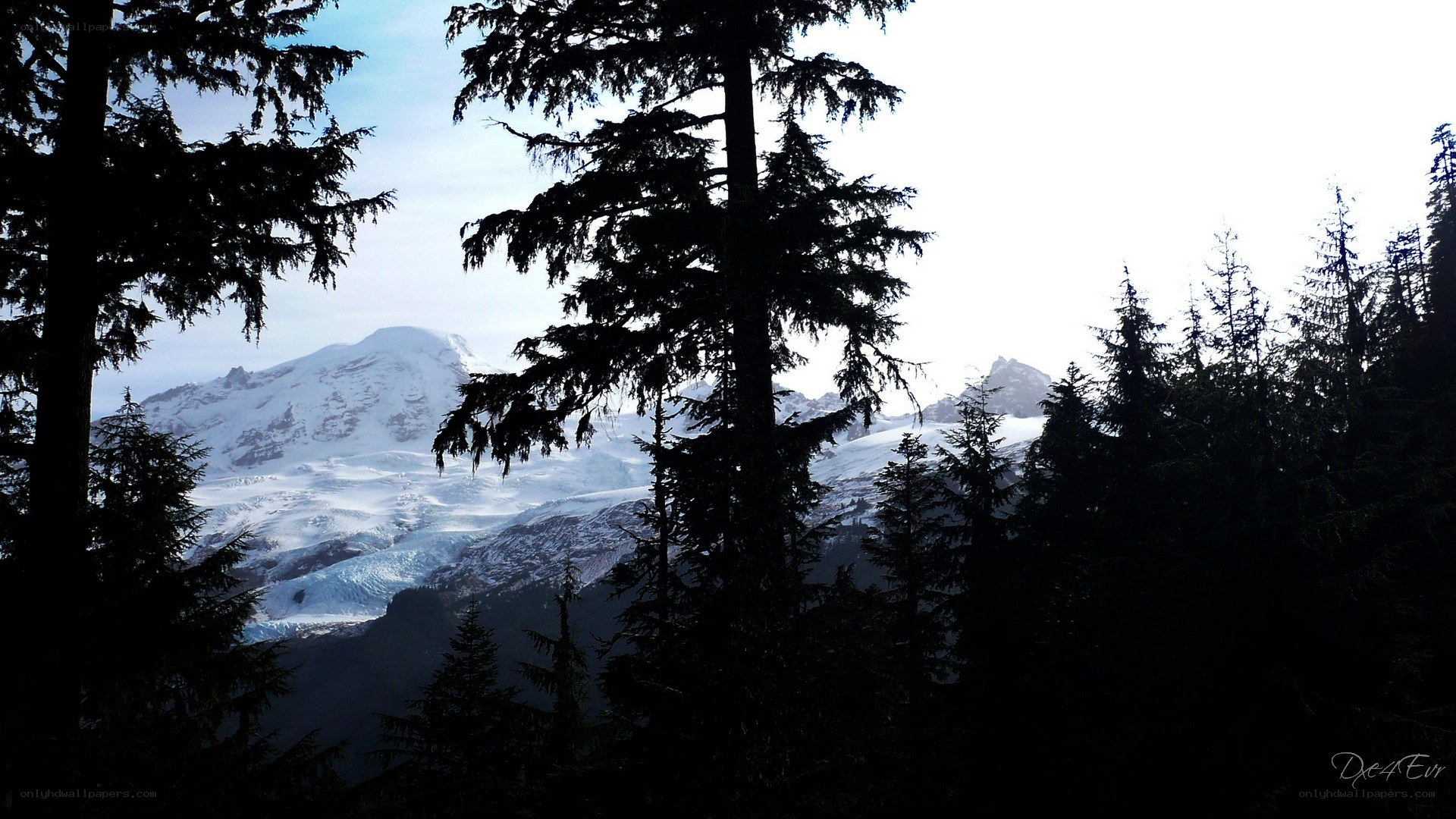 Snowy mountain through trees