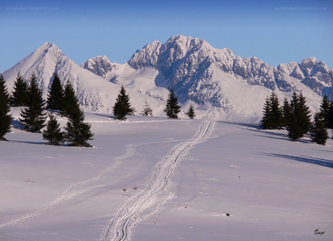 Snowy mountain trail