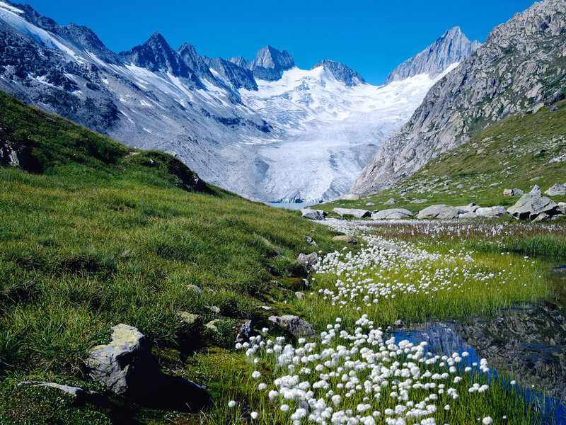Snowy Mountain Valley — Blue, Serene