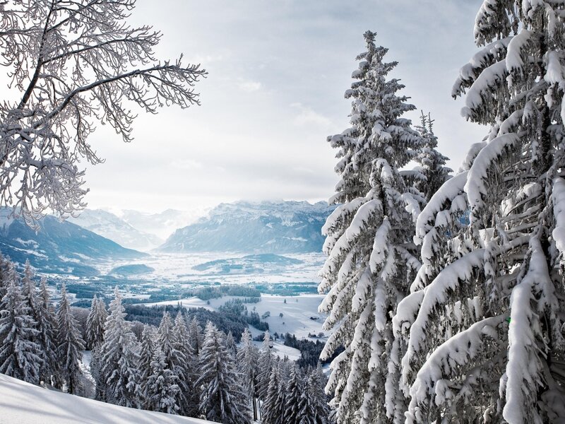 Snowy mountain valley view