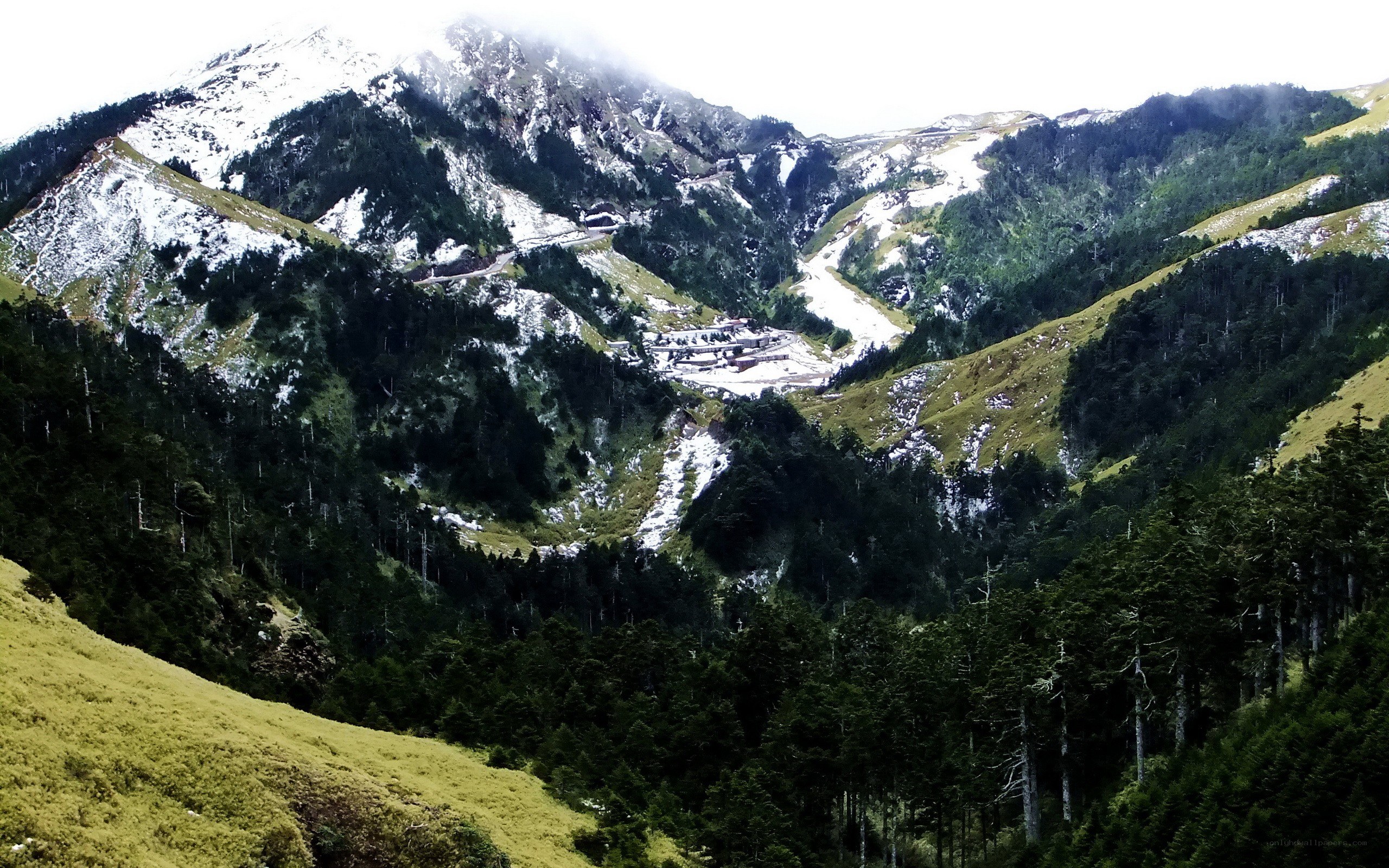 snowy mountain valley with forest
