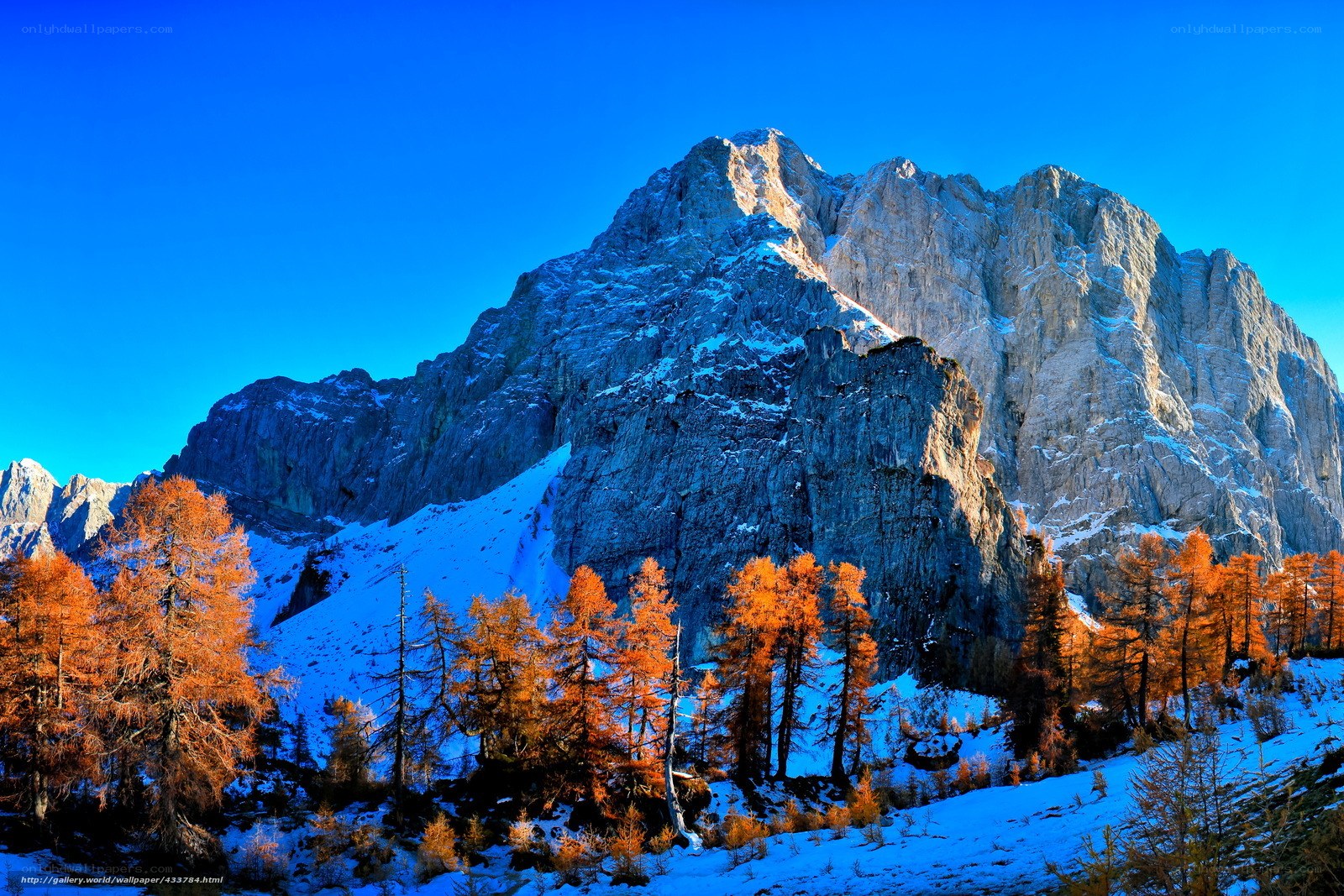 Snowy mountain with autumn trees
