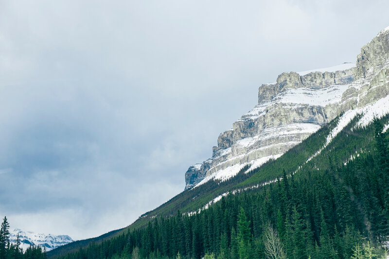 Snowy mountain with evergreen forest