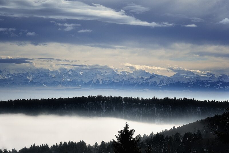 Snowy mountains above a foggy forest