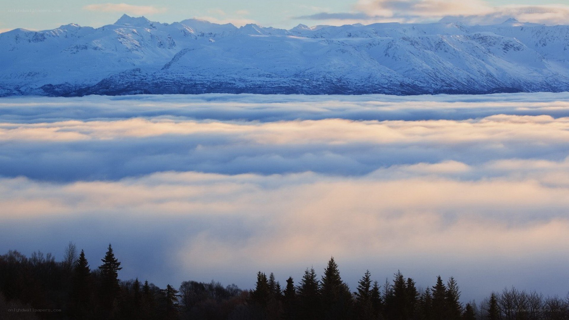 Snowy mountains above clouds