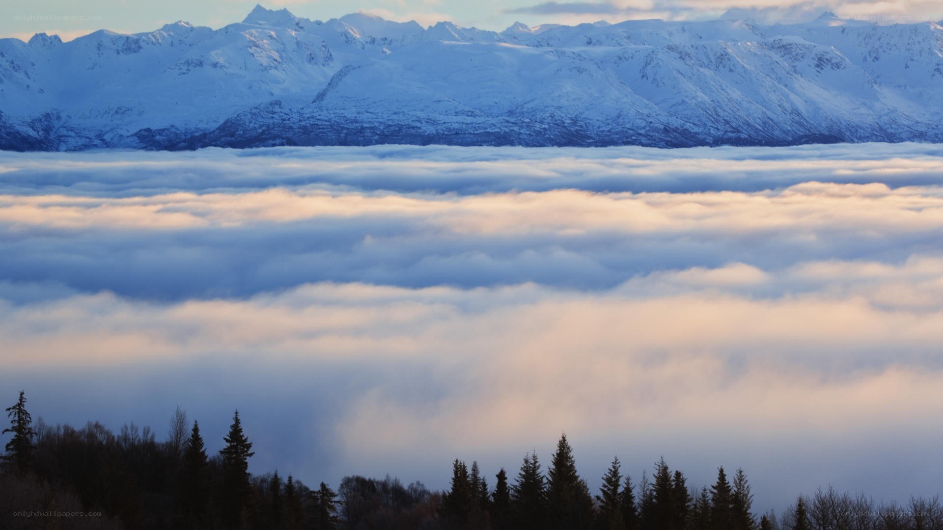 Snowy mountains above clouds