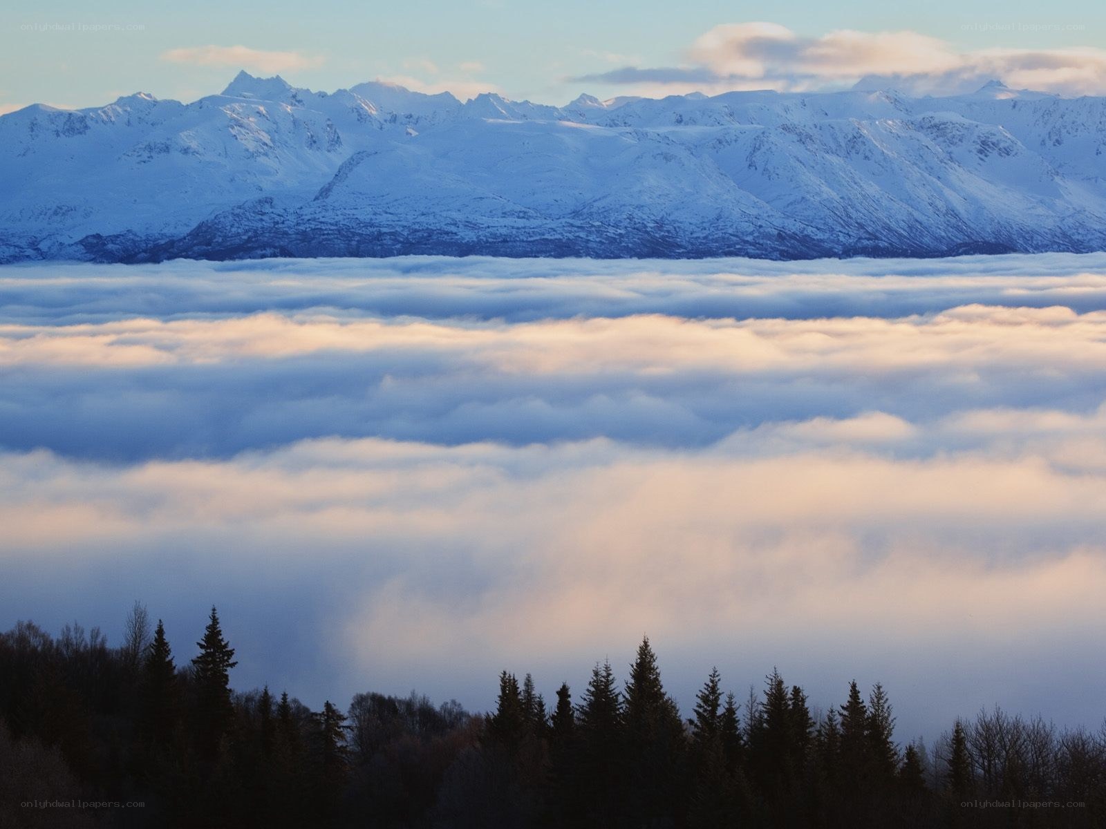 Snowy mountains above clouds