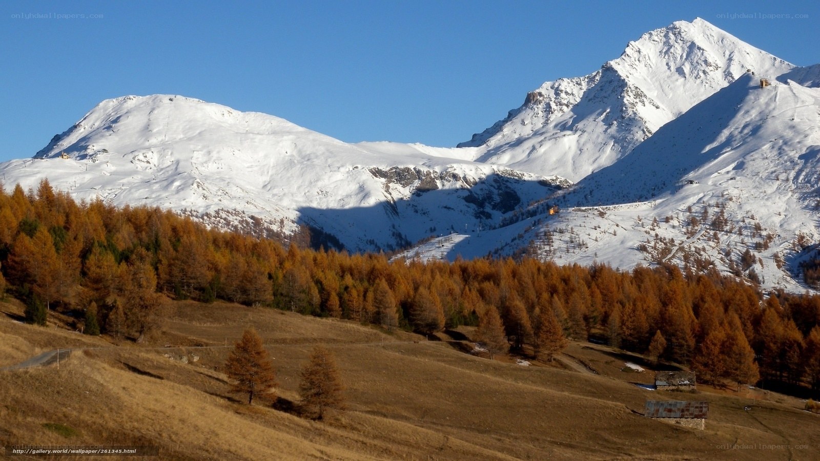 Snowy mountains and autumn trees