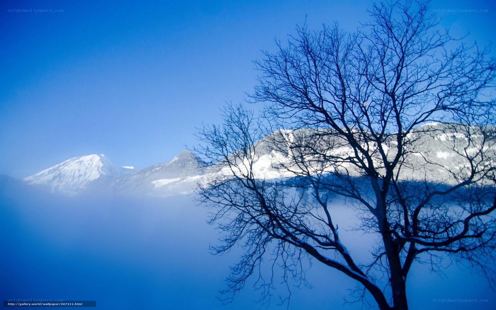 Snowy mountains and bare tree
