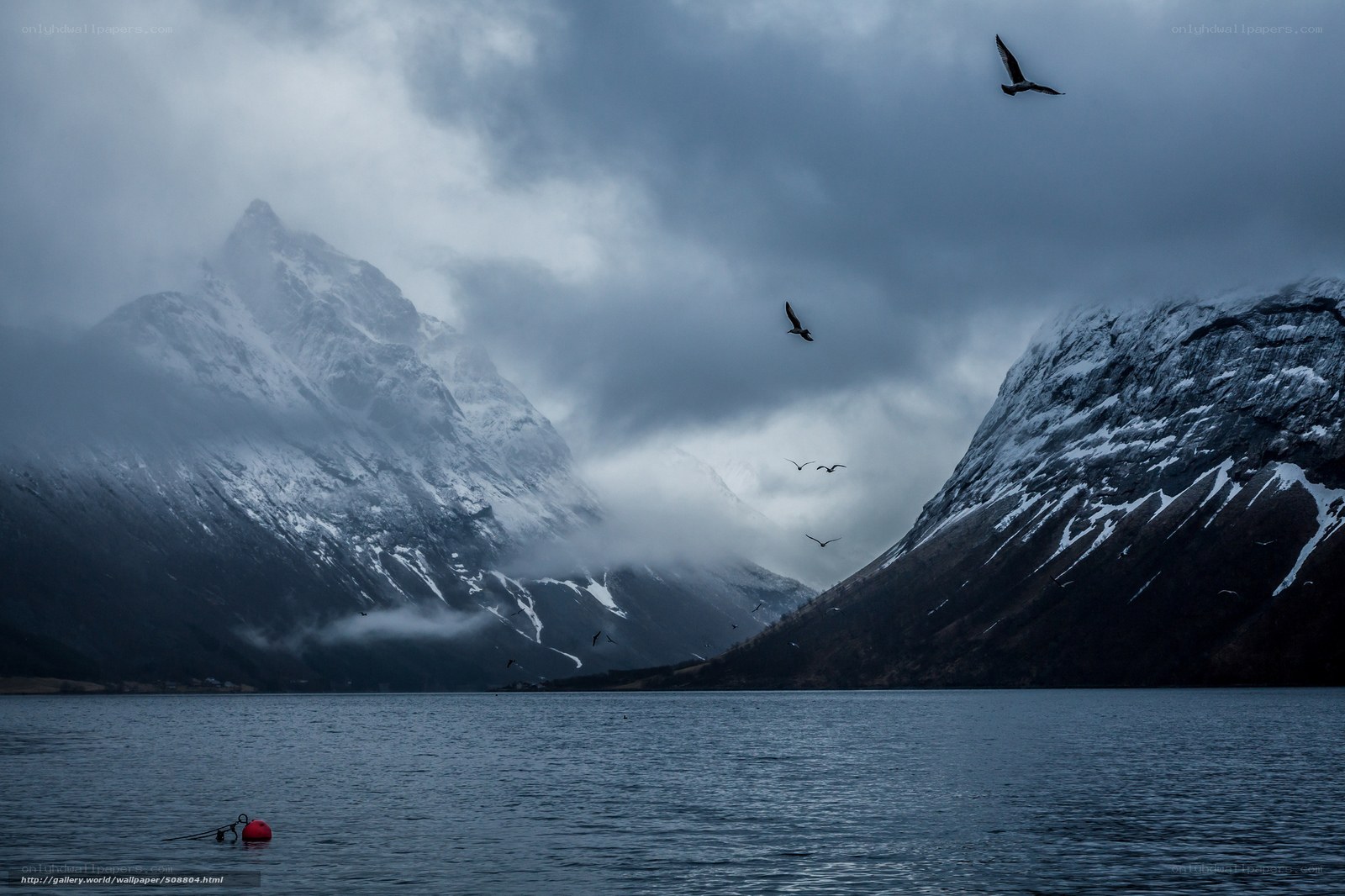 Snowy mountains and birds