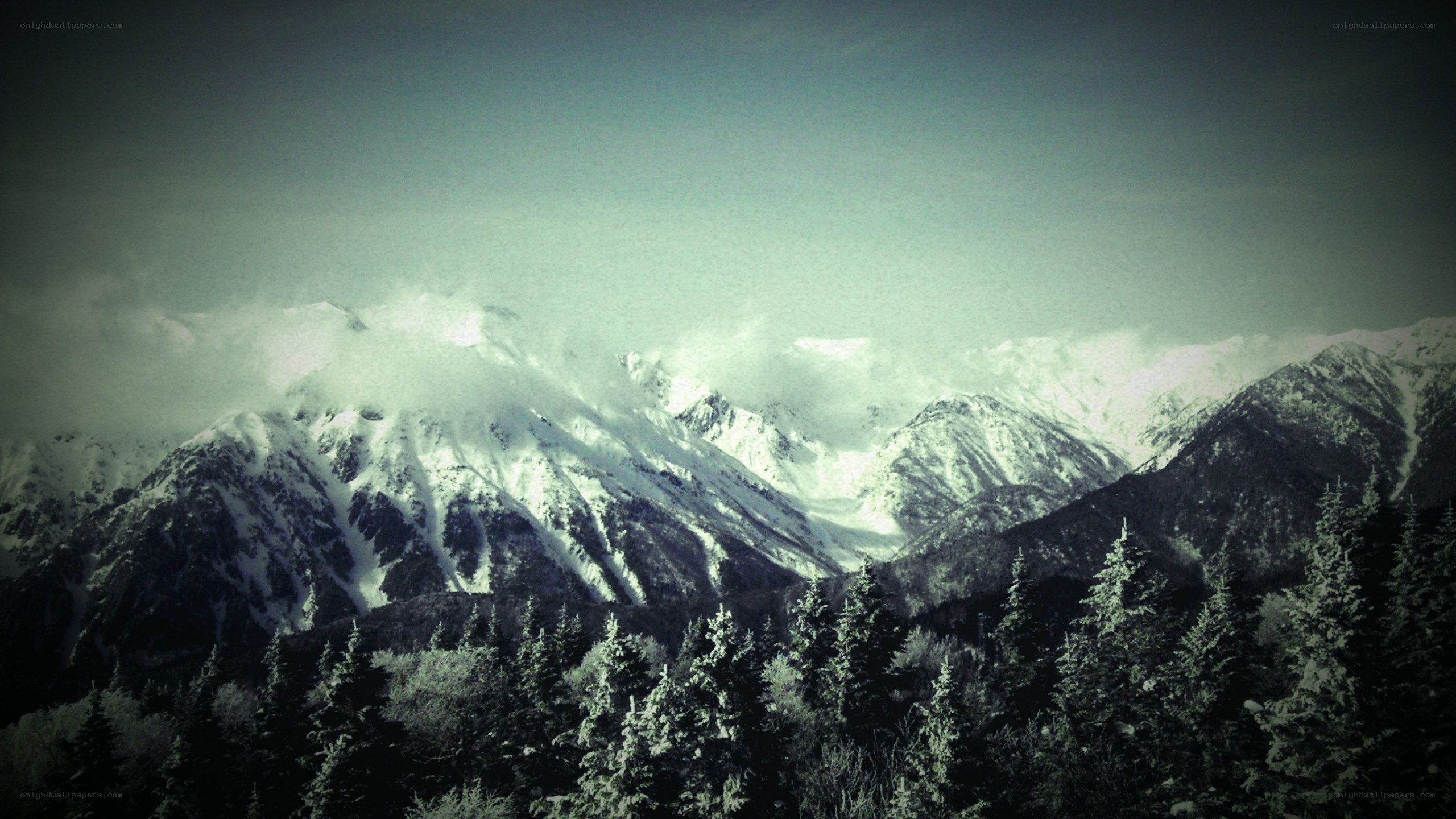 snowy mountains and evergreen trees