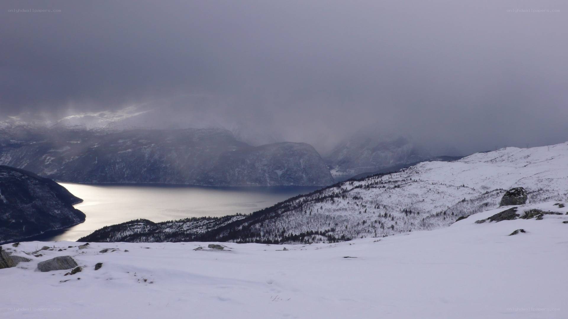 snowy mountains and fjord