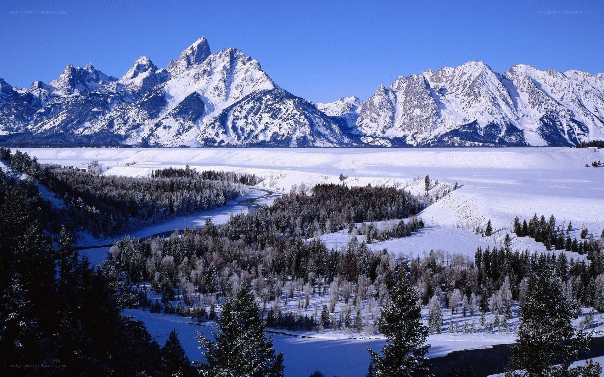 snowy mountains and forest