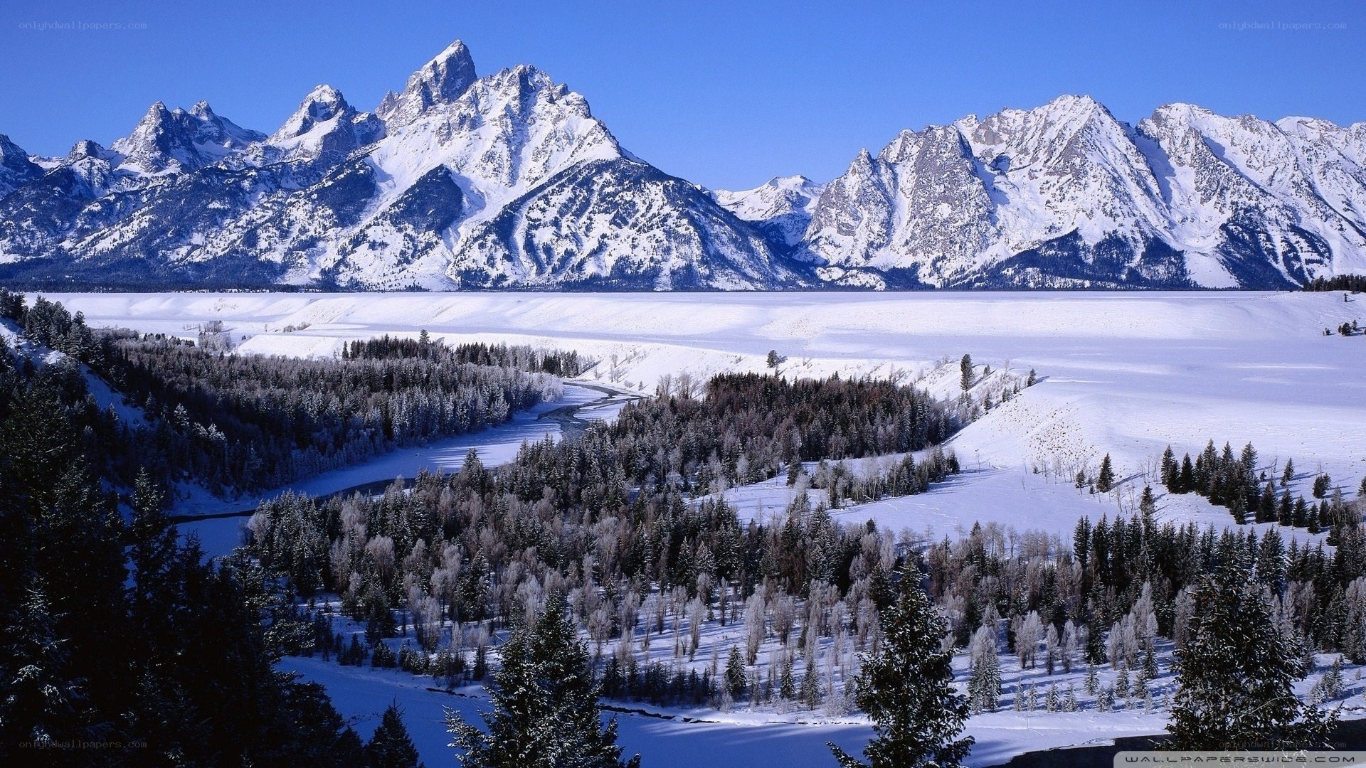 snowy mountains and forest