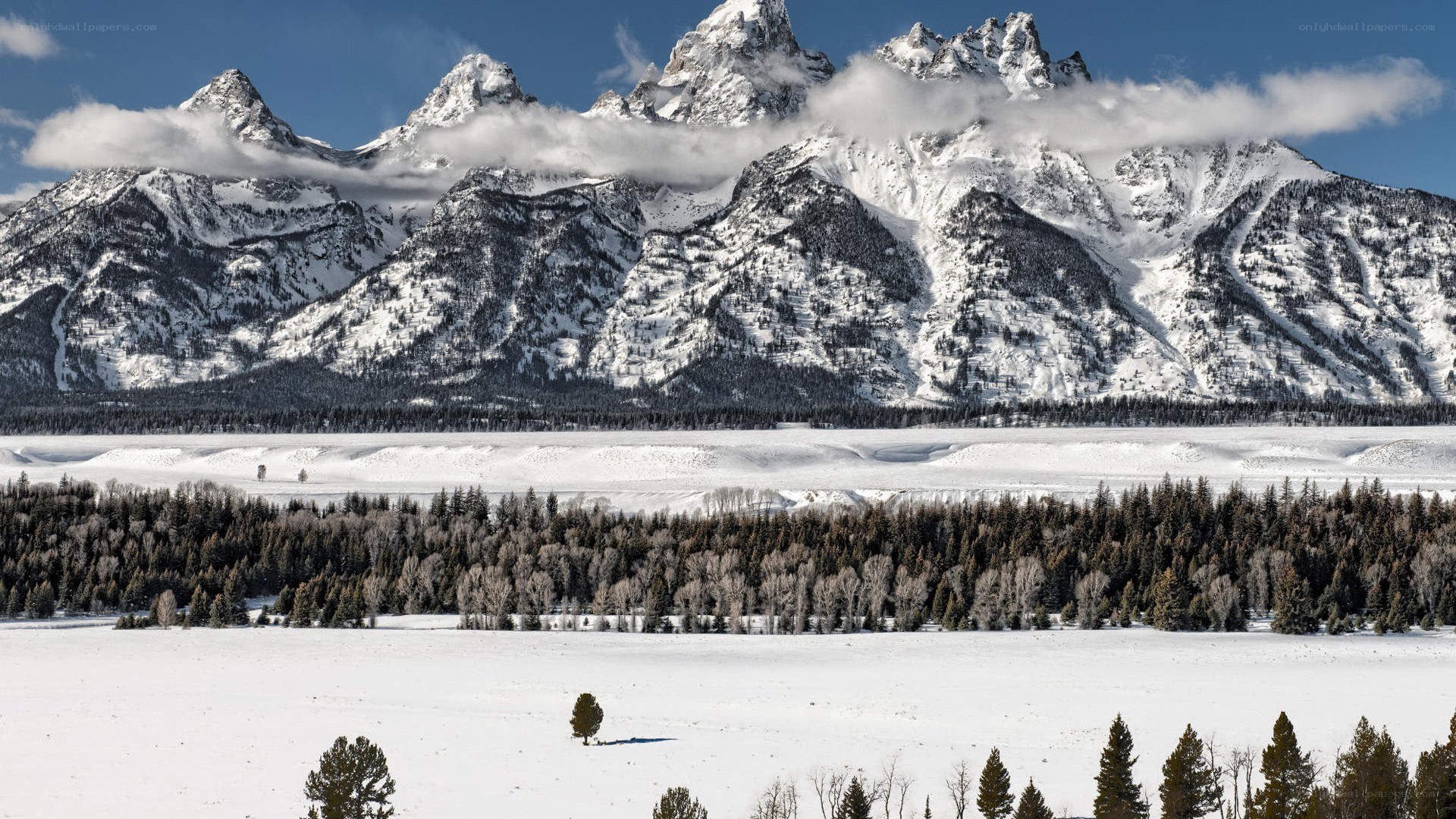 Snowy mountains and forest