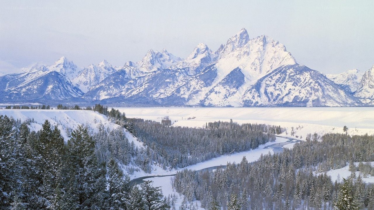 snowy mountains and forest