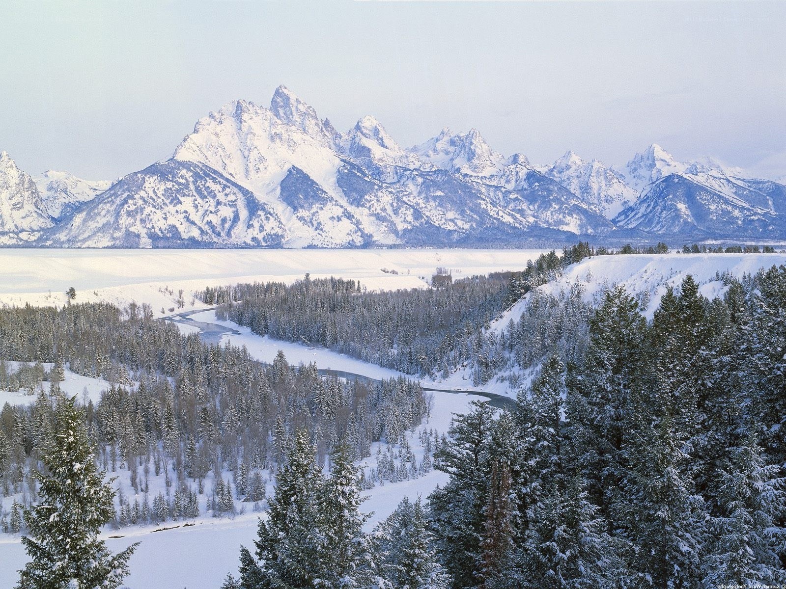 Snowy mountains and forest