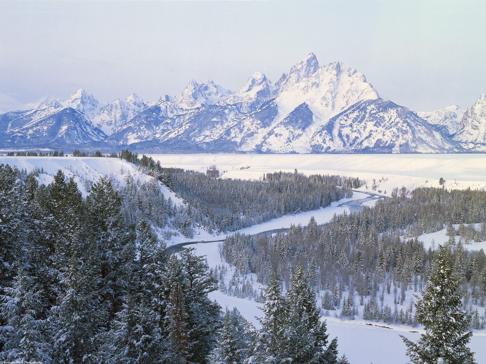 Snowy mountains and forest