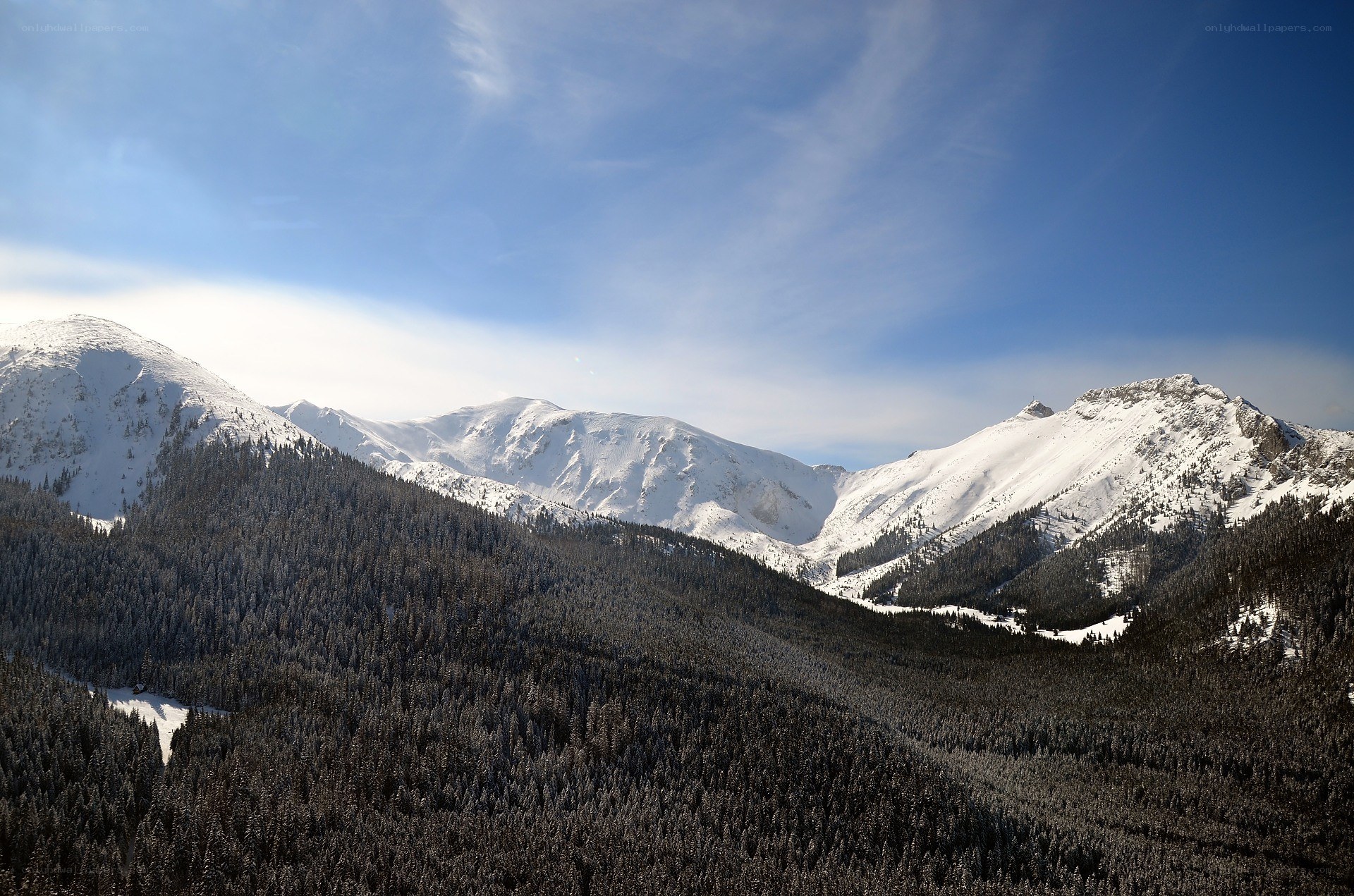 Snowy mountains and forest