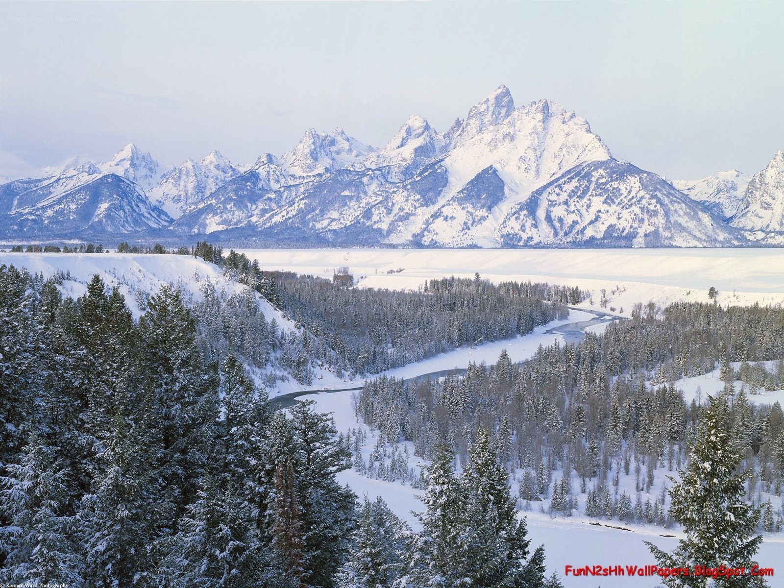 snowy mountains and forest