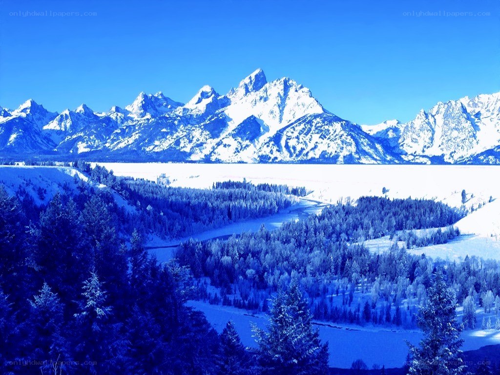 snowy mountains and forest