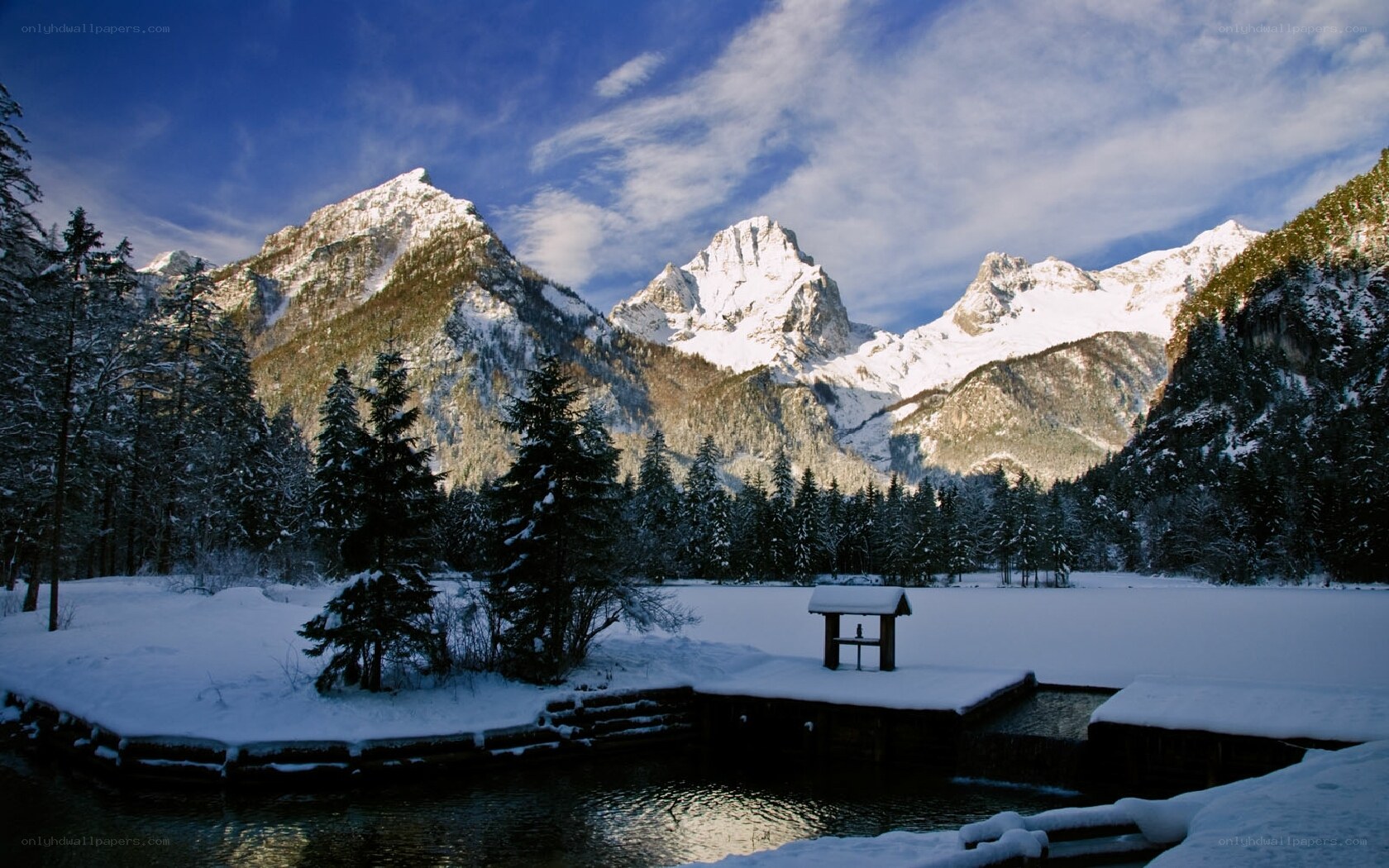 Snowy mountains and forest