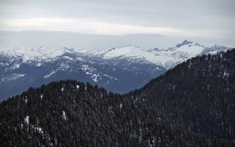 snowy mountains and forest