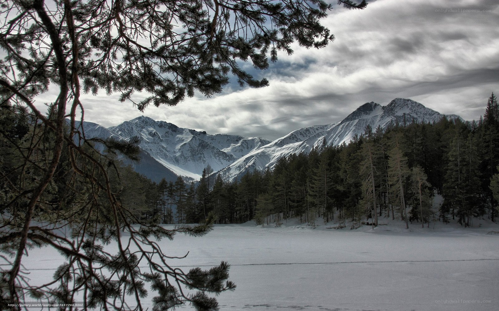 Snowy mountains and forest