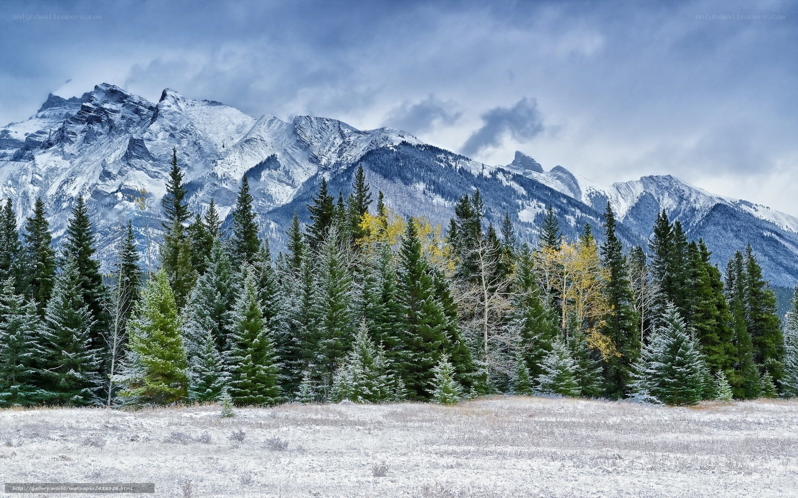 Snowy mountains and forest