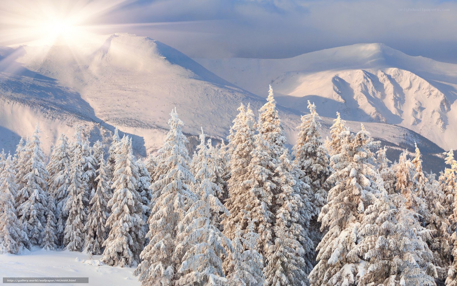 Snowy mountains and forest
