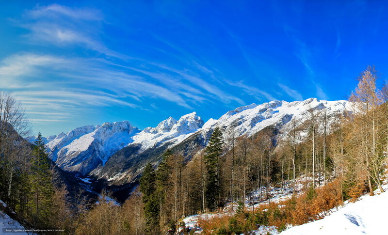 Snowy mountains and forest