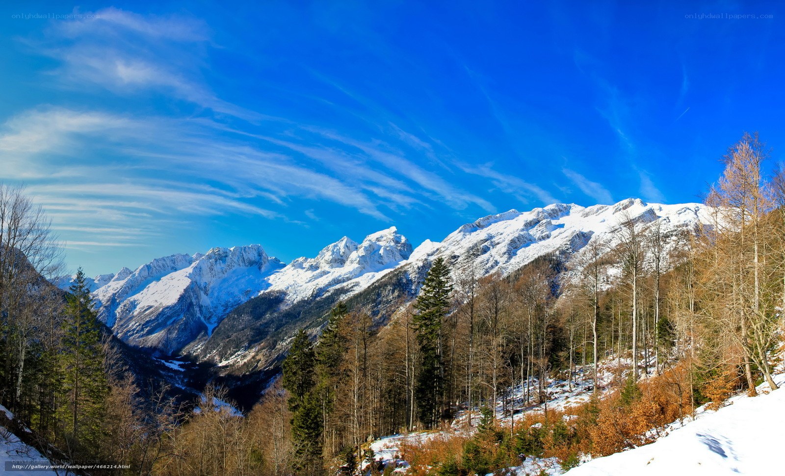 Snowy mountains and forest