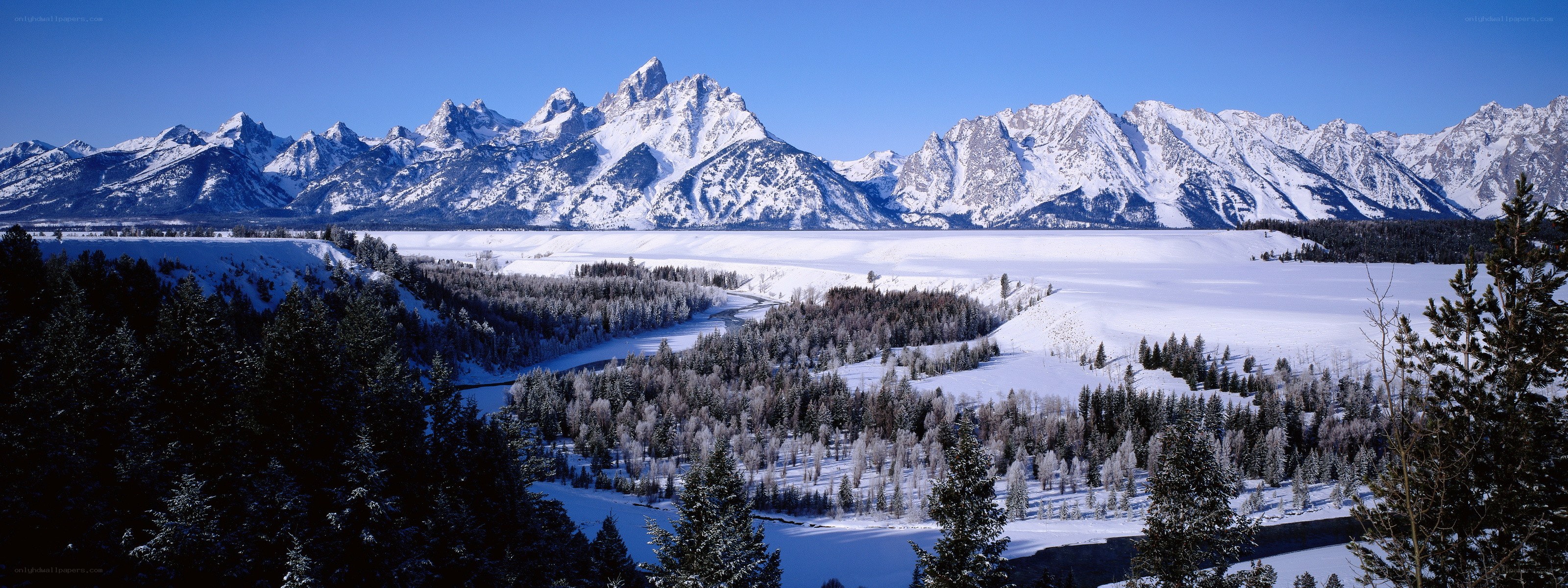 Snowy mountains and forest valley