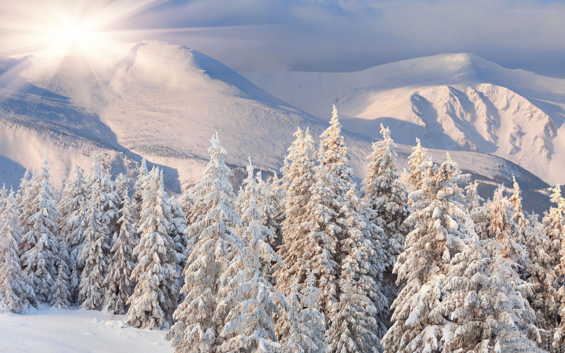 Snowy mountains and trees