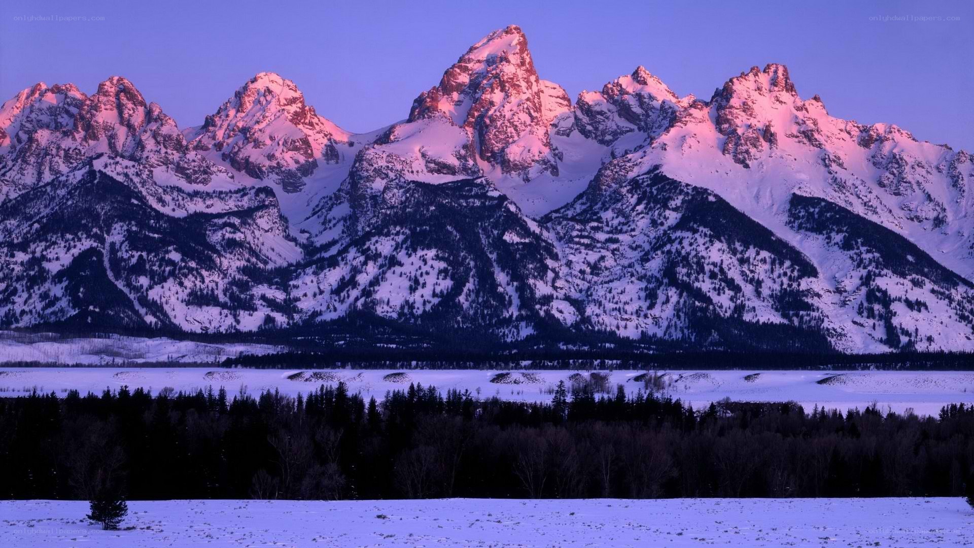snowy mountains at dawn