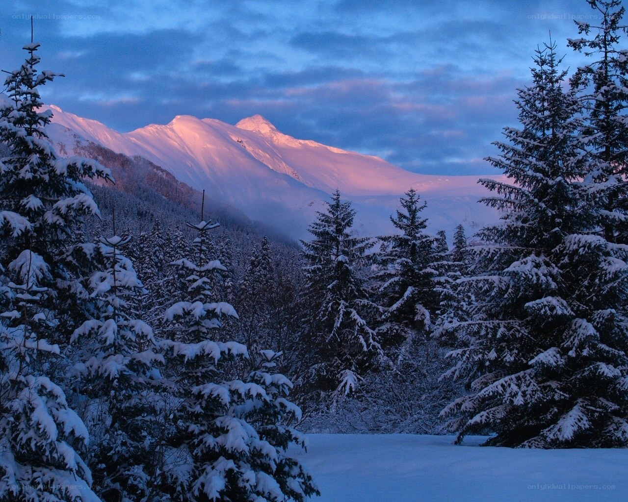 Snowy mountains at dusk