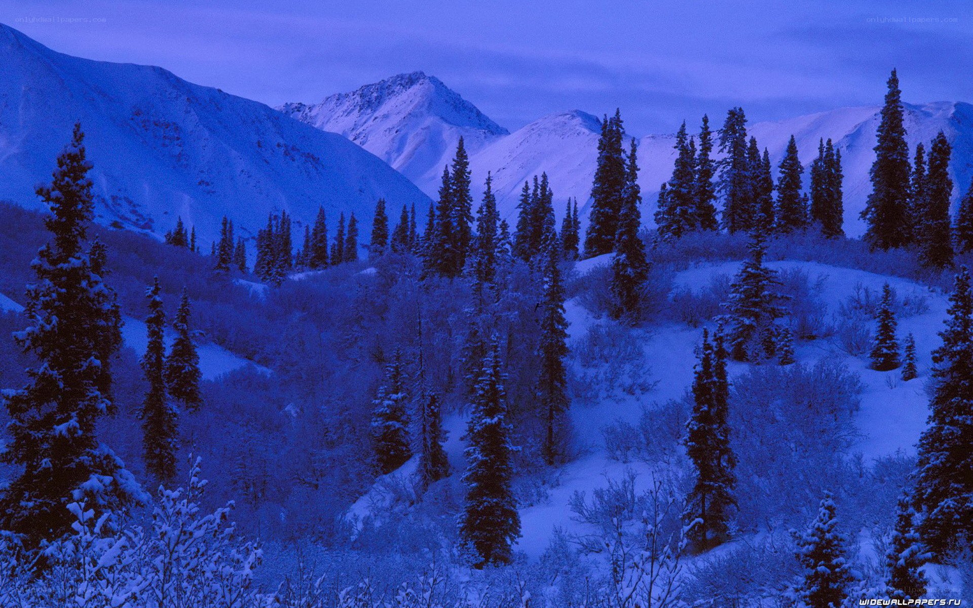 snowy mountains at dusk