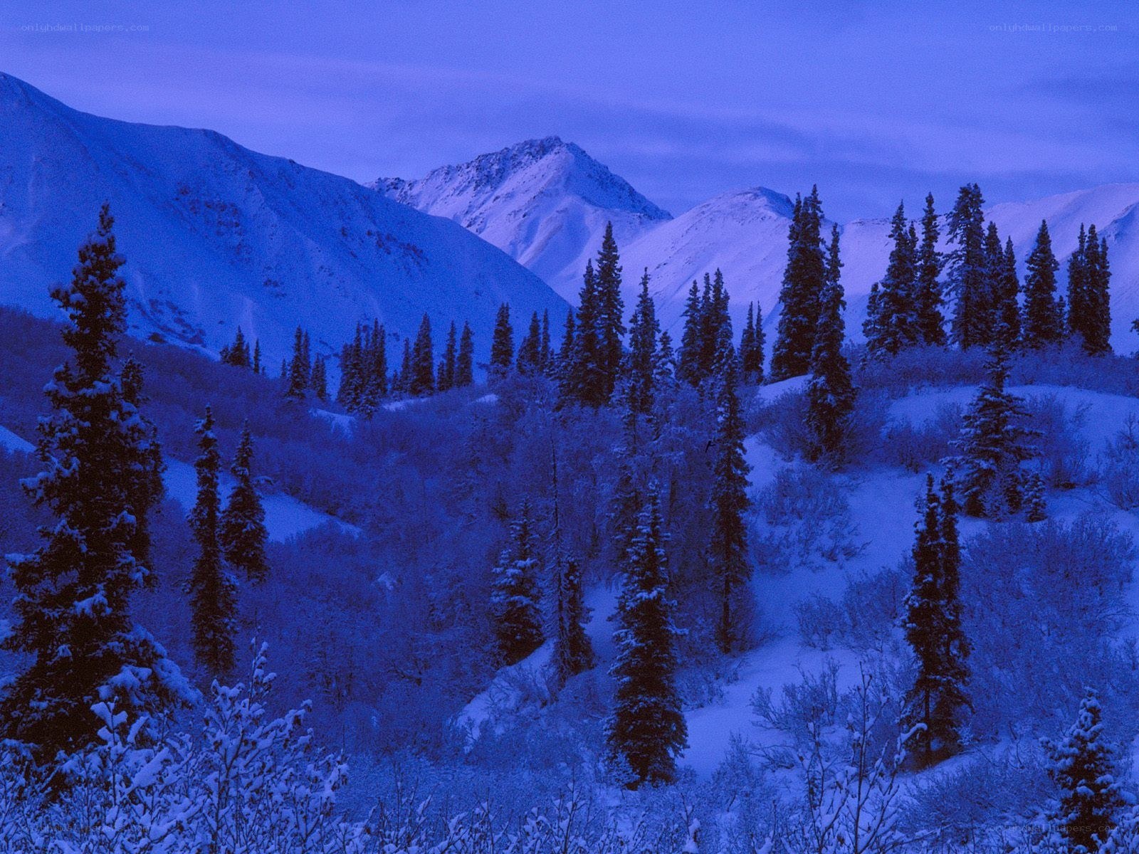 snowy mountains at dusk