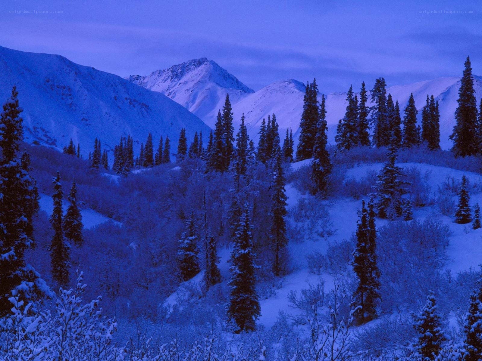 snowy mountains at dusk