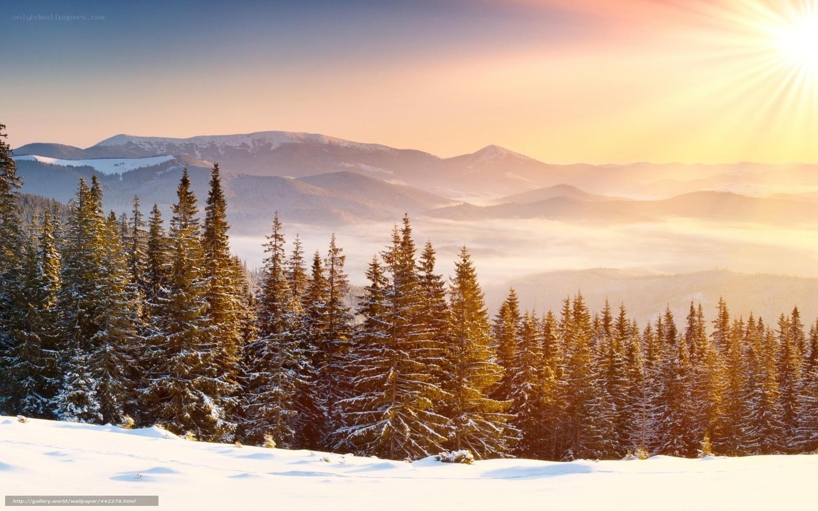 Snowy mountains at sunrise