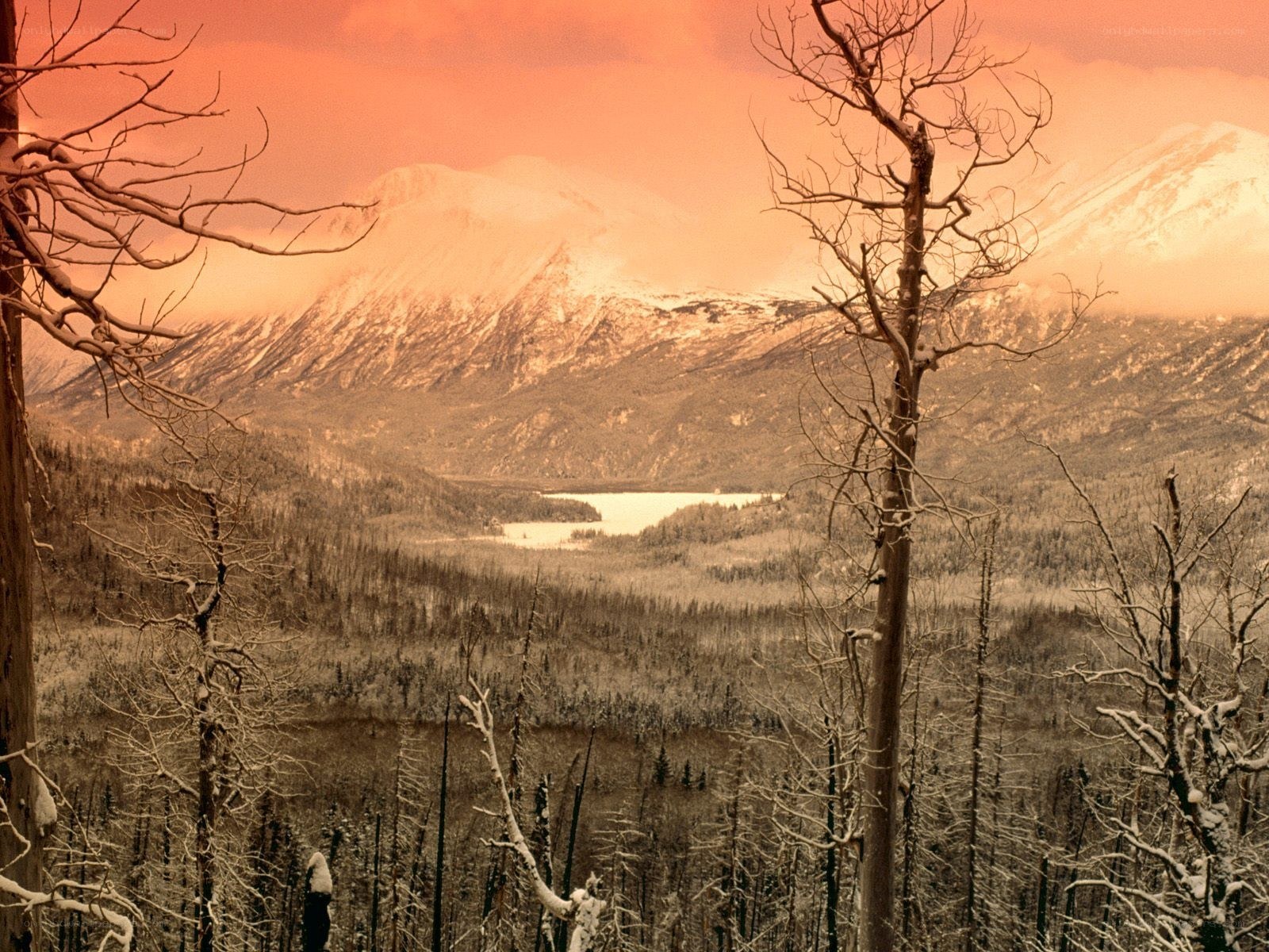 Snowy mountains at sunset